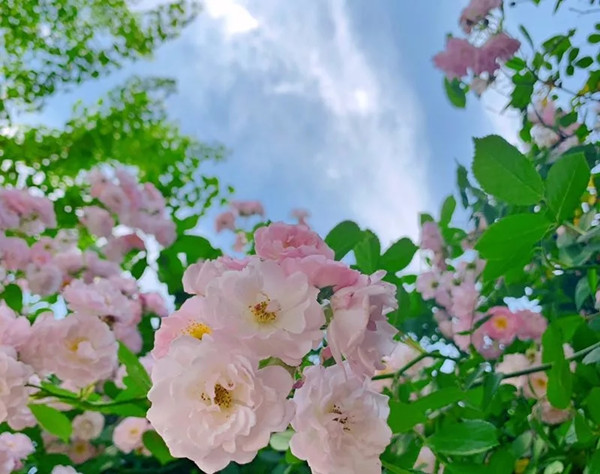 26.webp_副本.jpg