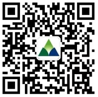 6403.webp.jpg