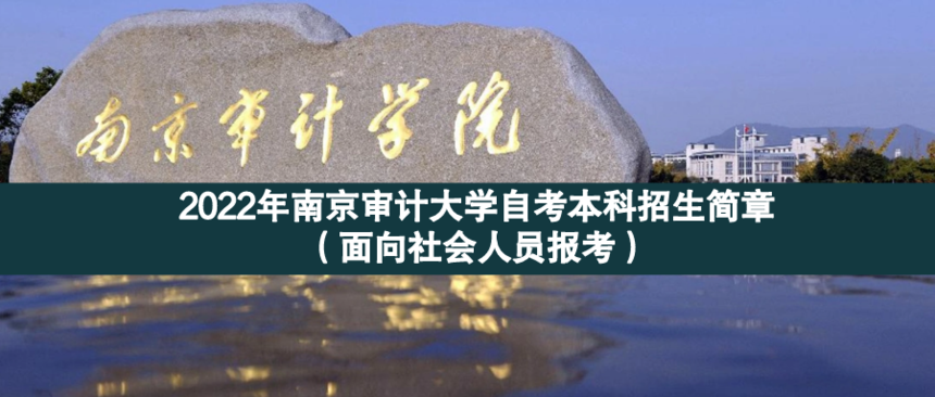 審計(jì)面向.png