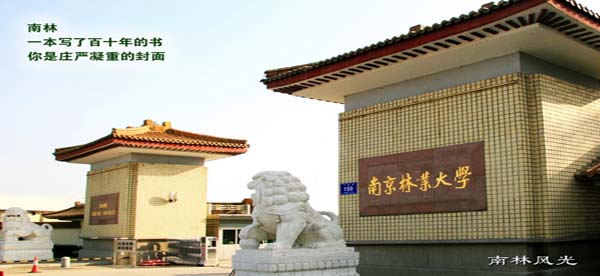 南京林業(yè)大學222.jpg