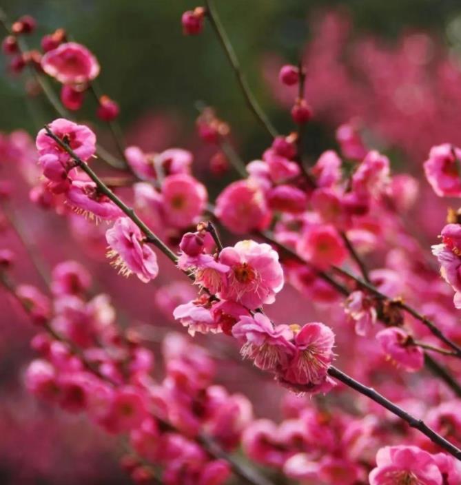 無(wú)錫商業(yè)職業(yè)技術(shù)學(xué)院15.jpg