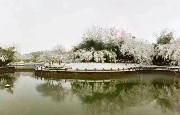 經貿，一個有“風”的地方12.jpg