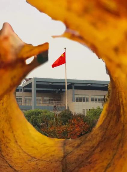 叮！快來(lái)Get揚(yáng)職大的校園專(zhuān)屬手機(jī)壁紙！6.jpg