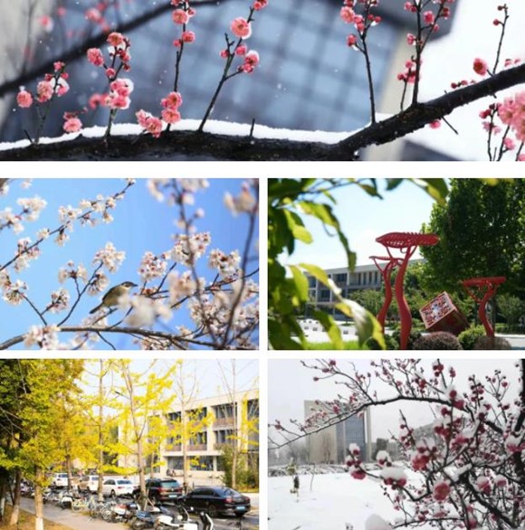 那些隱藏在泰職院校園的“數(shù)字” ，等你來解鎖！9_副本.jpg