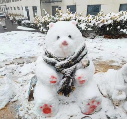 冬日雪舞，校園留痕！回憶無錫商業(yè)職業(yè)技術(shù)學(xué)院的那場雪！4.jpg