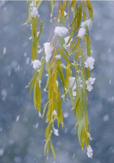 冬日雪舞，校園留痕！回憶無錫商業(yè)職業(yè)技術(shù)學(xué)院的那場雪！8_副本.jpg