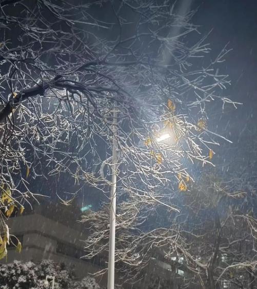 冬日雪舞，校園留痕！回憶無錫商業(yè)職業(yè)技術(shù)學(xué)院的那場雪111.jpg