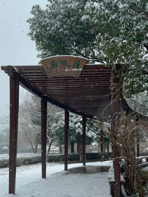 冬日雪舞，校園留痕！回憶無錫商業(yè)職業(yè)技術(shù)學(xué)院的那場雪！12.jpg