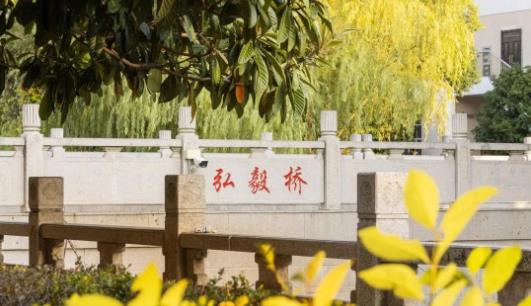 在常州工程，“橋”見(jiàn)美好！15.jpg