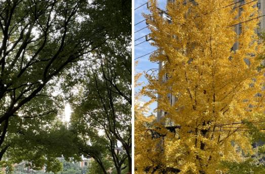 風華正茂，五彩繽紛！體驗在南京科技職業(yè)學院上學的一天.jpg