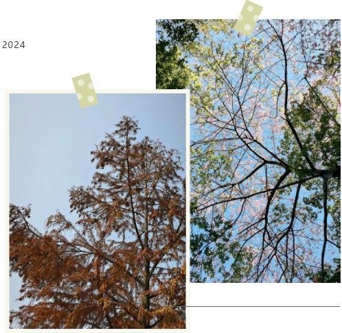 風華正茂，五彩繽紛！體驗在南京科技職業(yè)學院上學的一天2.jpg