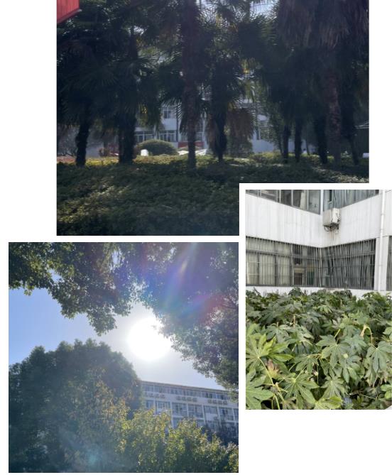 風華正茂，五彩繽紛！體驗在南京科技職業(yè)學院上學的一天12.jpg
