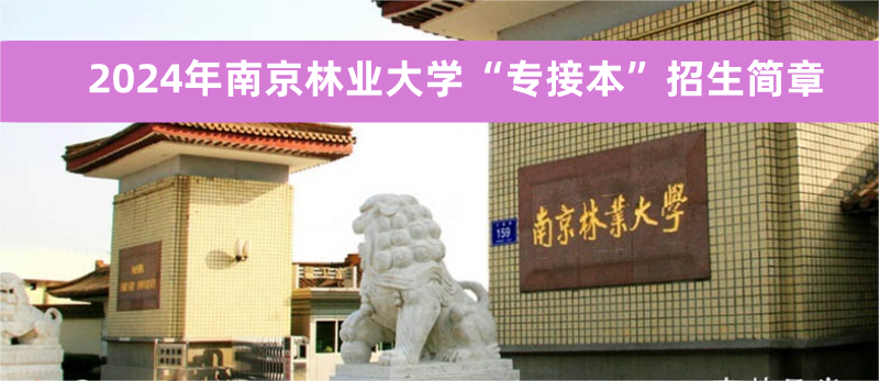 畢業(yè)季實景風(fēng)方形海報__2023-10-18+17_28_23.png