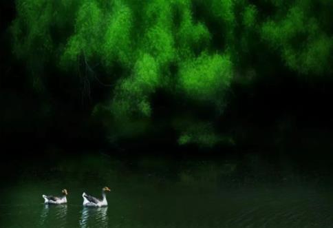 江蘇農(nóng)牧科技職業(yè)學(xué)院2.jpg