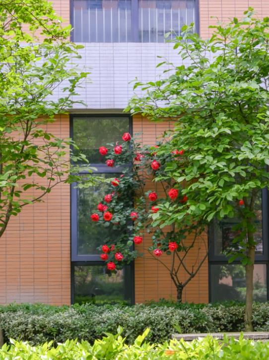 無錫學院2.jpg
