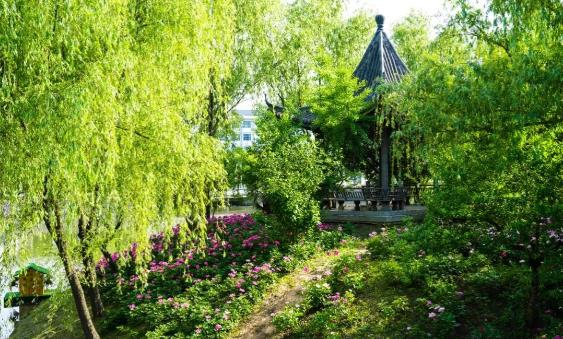 江蘇衛(wèi)生健康職業(yè)學(xué)院的夏天，來啦！6.jpg
