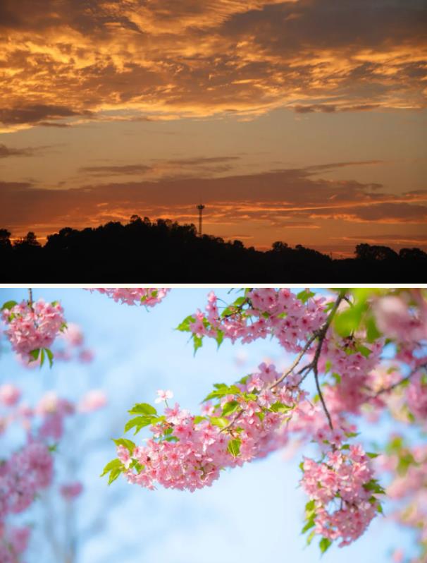 我在無(wú)錫太湖學(xué)院當(dāng)明星2.jpg