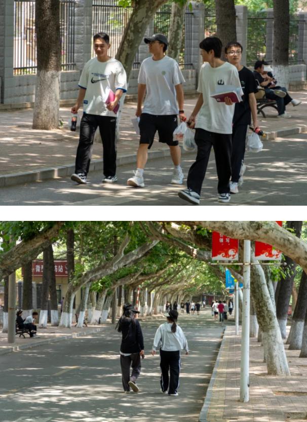初夏隨風而至，蘇建院陽光正好！3.jpg