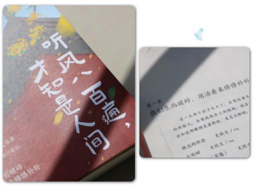 心動瞬間！在蘇衛(wèi)尋找你的crush9.jpg
