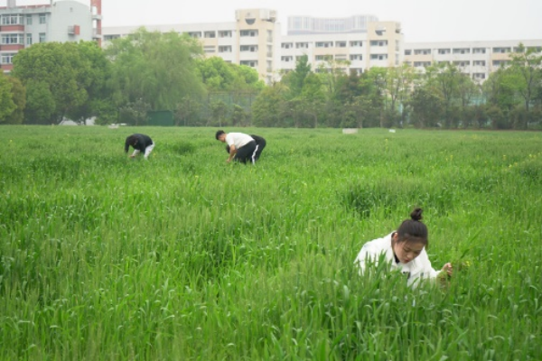 走，一起感受經(jīng)貿(mào)“文化味兒”！13_副本.png