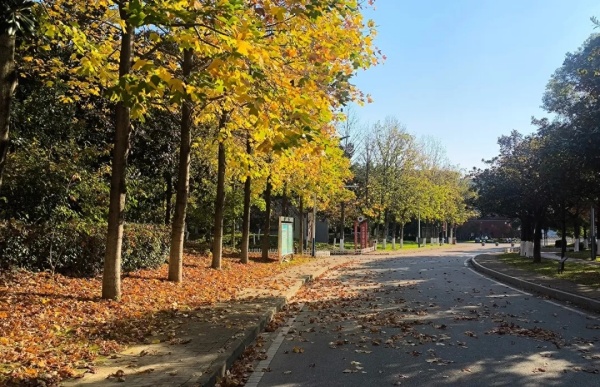 一鍵解鎖南京交通職業(yè)技術(shù)學(xué)院初冬“多巴胺”校園！2.webp_副本.jpg