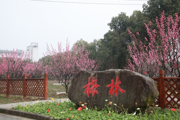 無錫商業(yè)職業(yè)技術(shù)學(xué)院：校園文化特色景點，點亮學(xué)府風(fēng)采12_副本.jpg