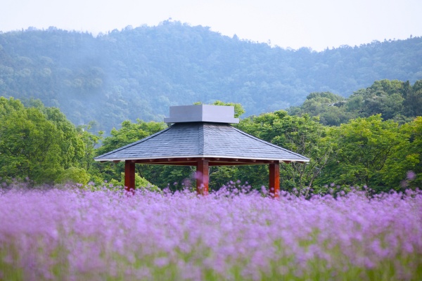 無錫商業(yè)職業(yè)技術(shù)學(xué)院：校園文化特色景點，點亮學(xué)府風(fēng)采13_副本.jpg