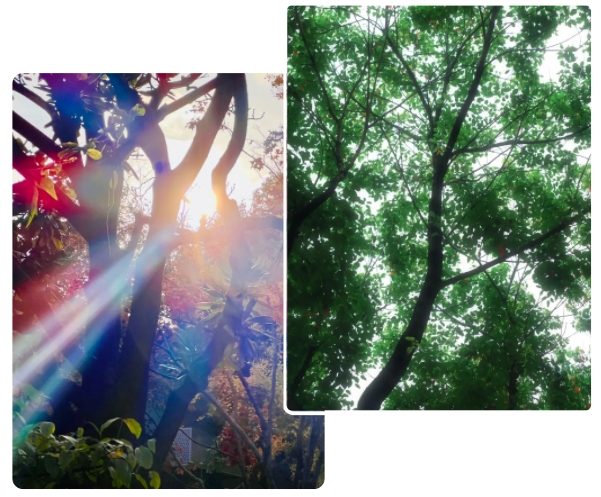 透過(guò)“縫隙”，看美好的蘇衛(wèi)校園生活！2.png