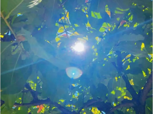 透過(guò)“縫隙”，看美好的蘇衛(wèi)校園生活3.png