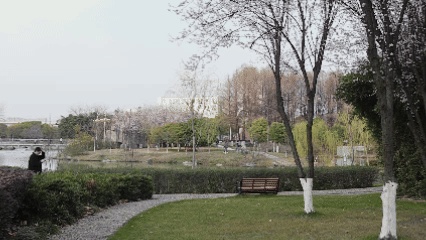 嘿！江蘇經(jīng)貿(mào)職業(yè)技術(shù)學(xué)院的春天按下了播放鍵！8_副本.jpg