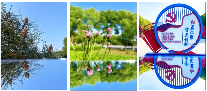 常信校園街拍：春深半夏，五月你好！9.png