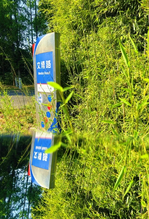 常信校園街拍：春深半夏，五月你好！11.png