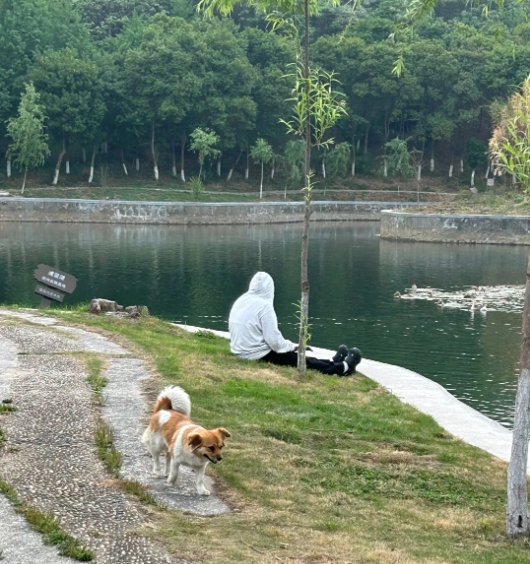 東南大學(xué)成賢學(xué)院校園打卡，看你更pick哪種！7.png