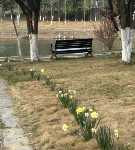 東南大學(xué)成賢學(xué)院校園打卡，看你更pick哪種！8.png