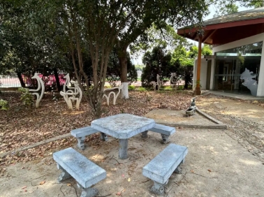 東南大學(xué)成賢學(xué)院校園打卡，看你更pick哪種！13.png