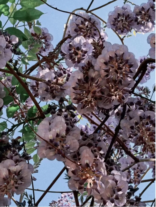 成賢進(jìn)入“花花世界”5.png