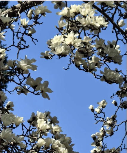 成賢進(jìn)入“花花世界”6.png