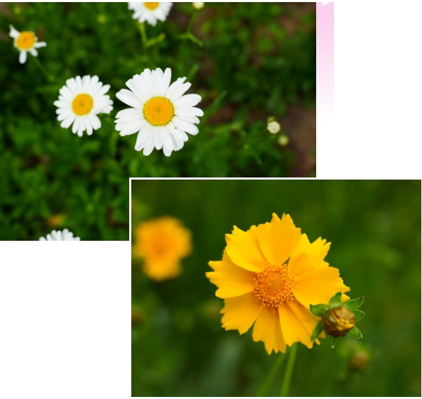 成賢進(jìn)入“花花世界”8.png