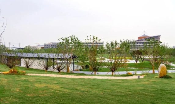 看！無(wú)錫學(xué)院建了座“靜篤園”！15.png