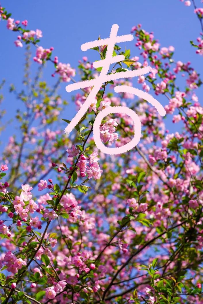 當(dāng)漢字遇上錫職的春天！2.png