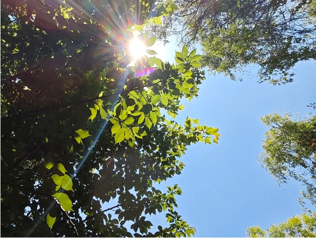 在常信邂逅那一抹初夏的溫柔3.png