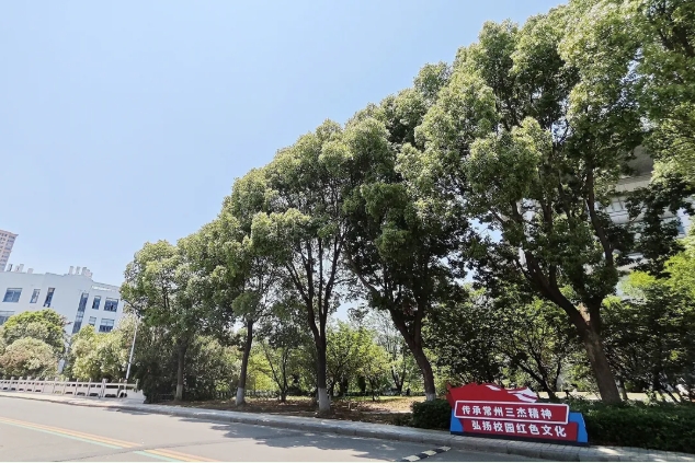 在常信邂逅那一抹初夏的溫柔4.png