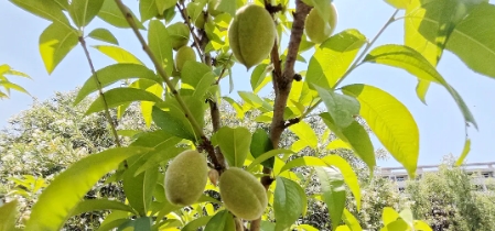 在常信邂逅那一抹初夏的溫柔11.png