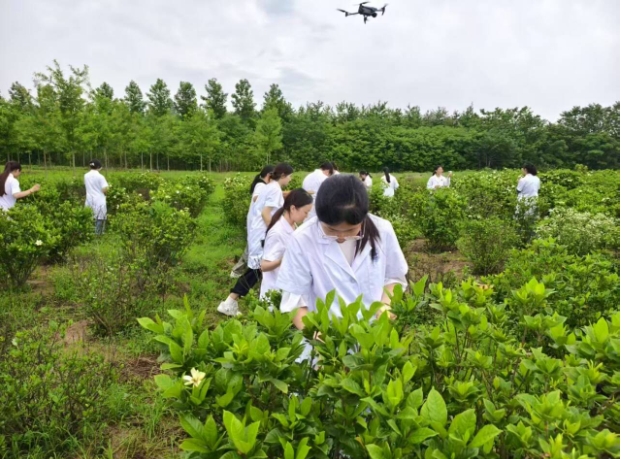 江蘇護理職業(yè)學院：探尋中醫(yī)藥文化傳承與創(chuàng)新.png