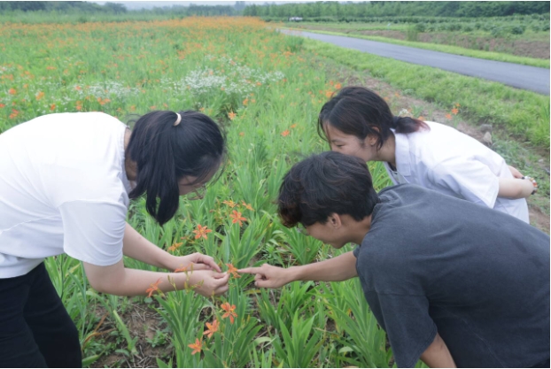 江蘇護理職業(yè)學院：探尋中醫(yī)藥文化傳承與創(chuàng)新2.png
