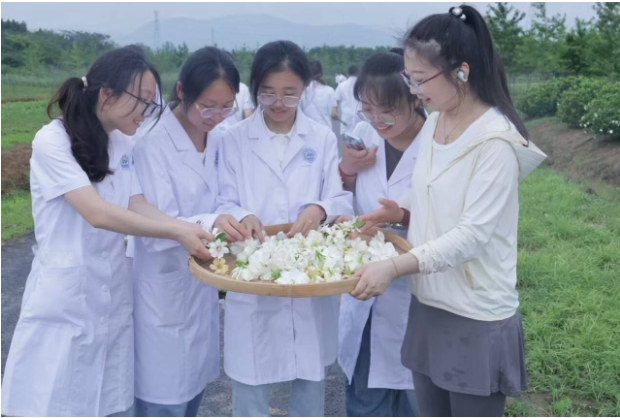 江蘇護理職業(yè)學院：探尋中醫(yī)藥文化傳承與創(chuàng)新3.png