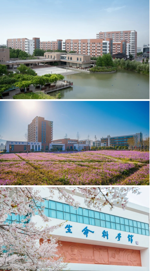 歡迎報考南京醫(yī)科大學(xué)康達(dá)學(xué)院，您關(guān)心的問題都在這里26.png