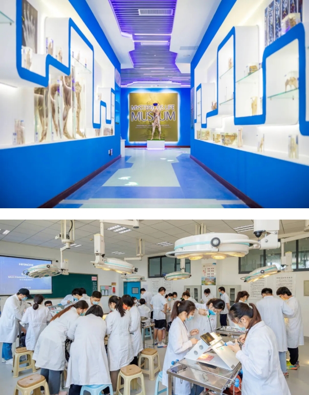 歡迎報考南京醫(yī)科大學(xué)康達(dá)學(xué)院，您關(guān)心的問題都在這里32.png
