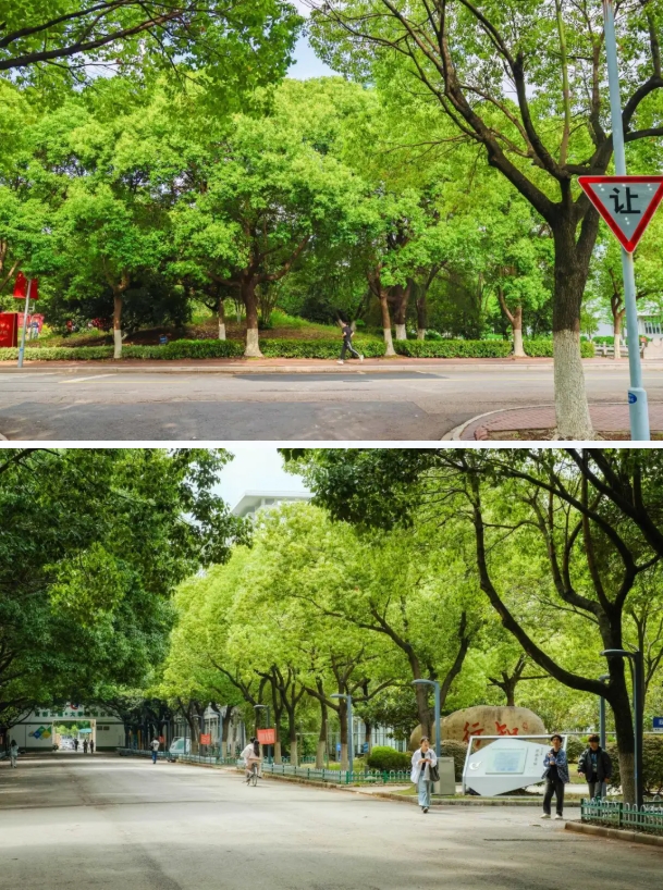 常州工程職業(yè)技術(shù)學(xué)院光影校園！ 邂逅“夏”一站美好4.png