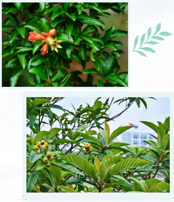 常州工程職業(yè)技術(shù)學(xué)院光影校園！ 邂逅“夏”一站美好6.png